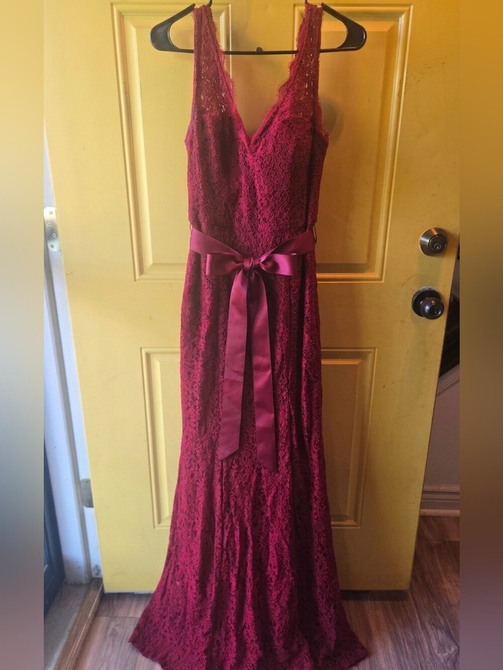 Glamorous Adrianna Papell Lace Gown with Satin Sash